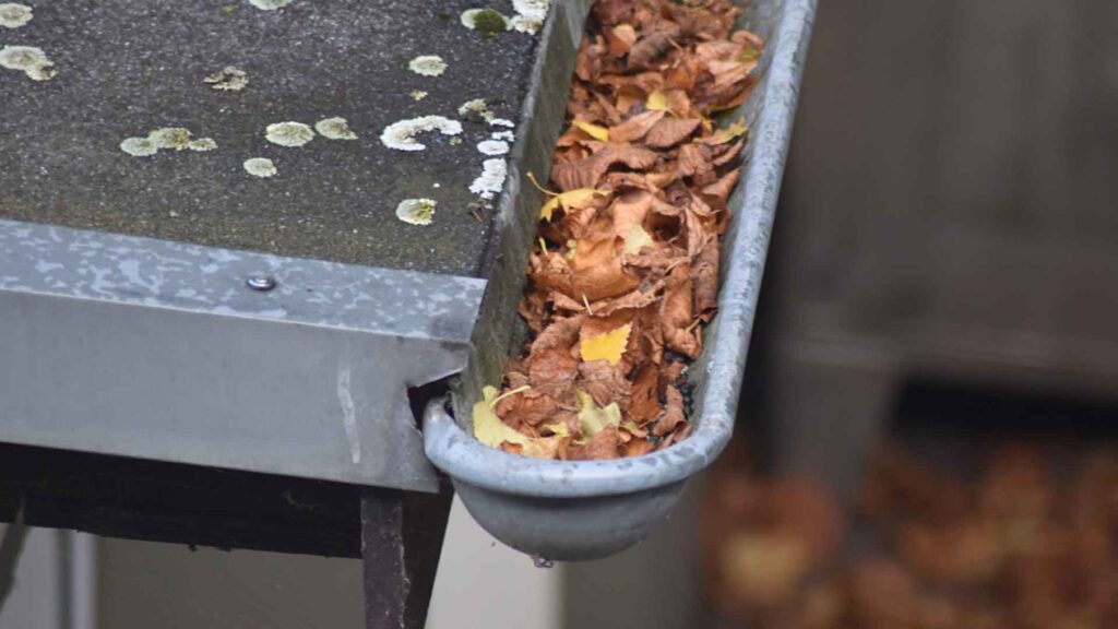 Close-up of a gutter filled with leaves and debris, highlighting the need for cleaning and maintenance.